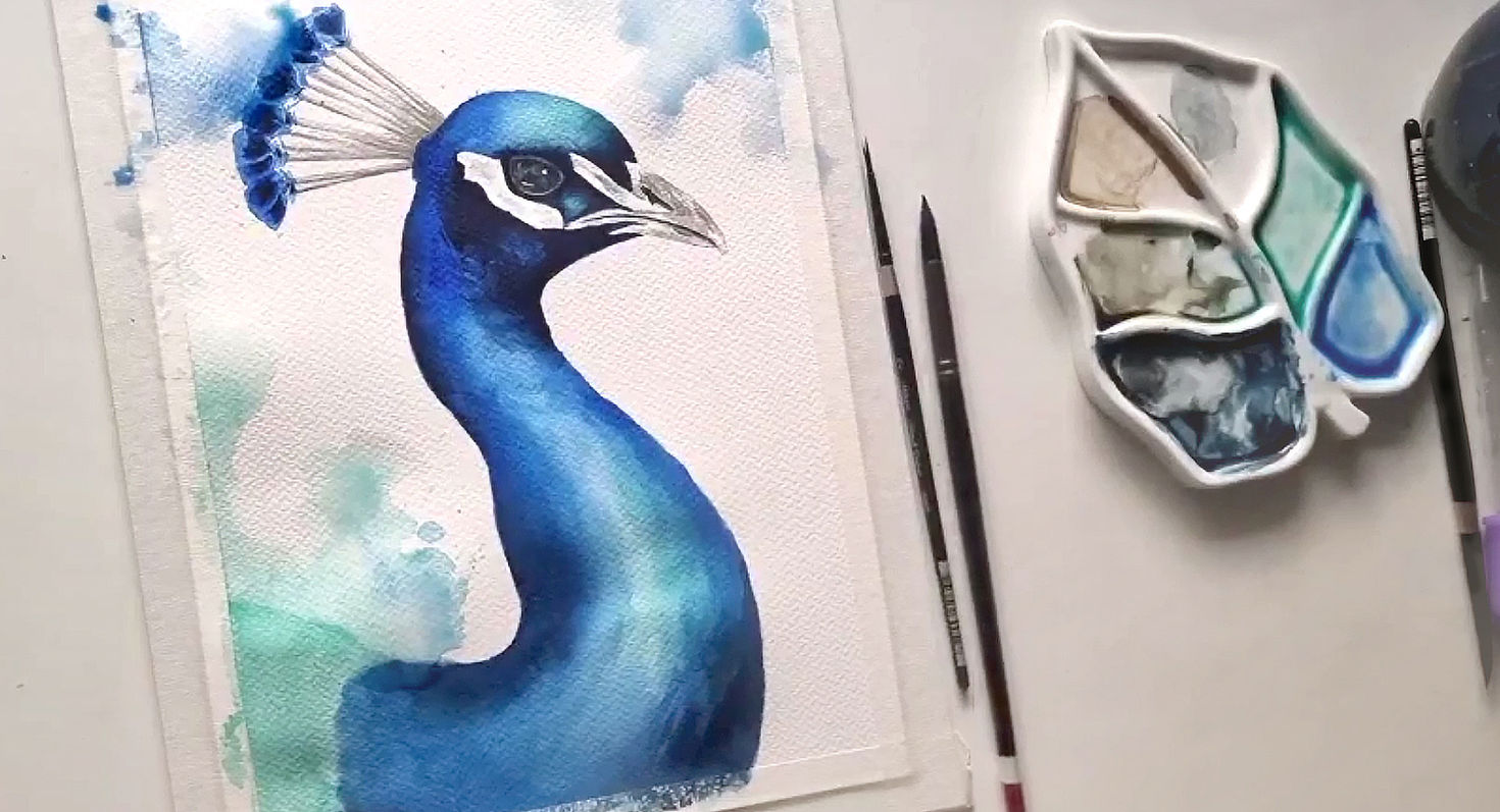Peacock | Online Workshop